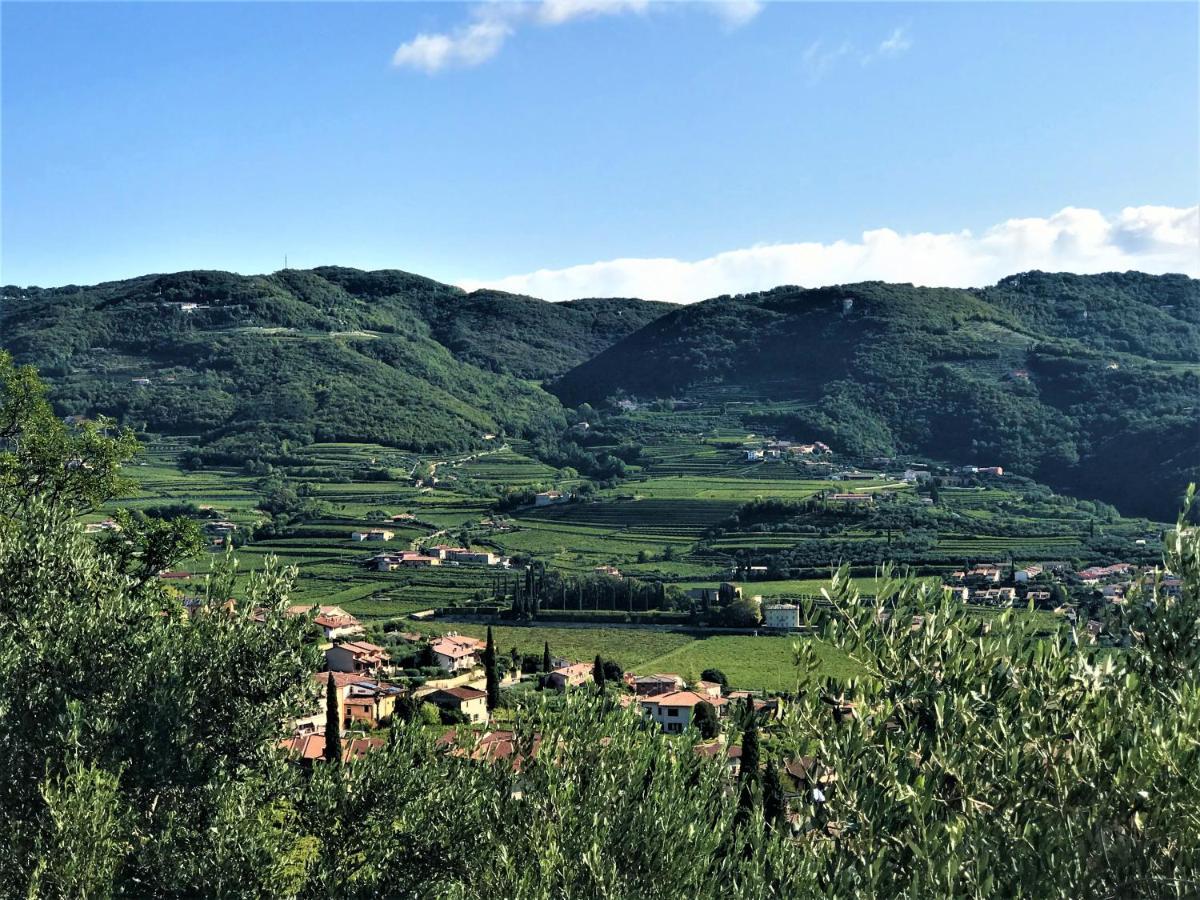 Valpolicella Hills Appartement Negrar Buitenkant foto